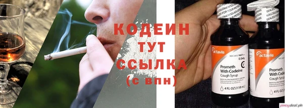 молекула духа Алзамай