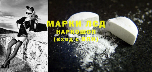 стаф Алексин